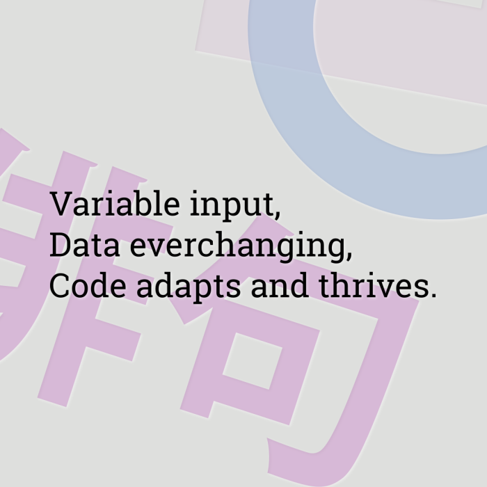 Variable input, Data everchanging, Code adapts and thrives.