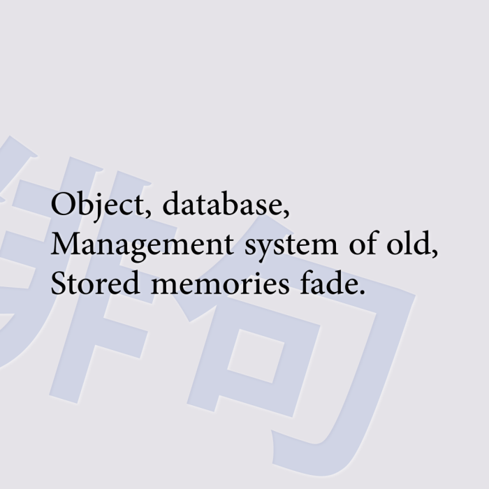 Object, database, Management system of old, Stored memories fade.