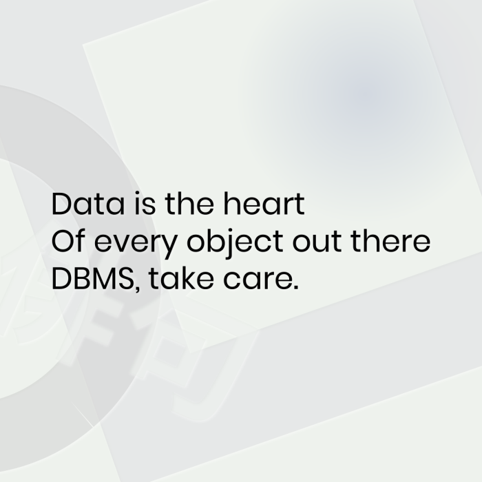 Data is the heart Of every object out there DBMS, take care.