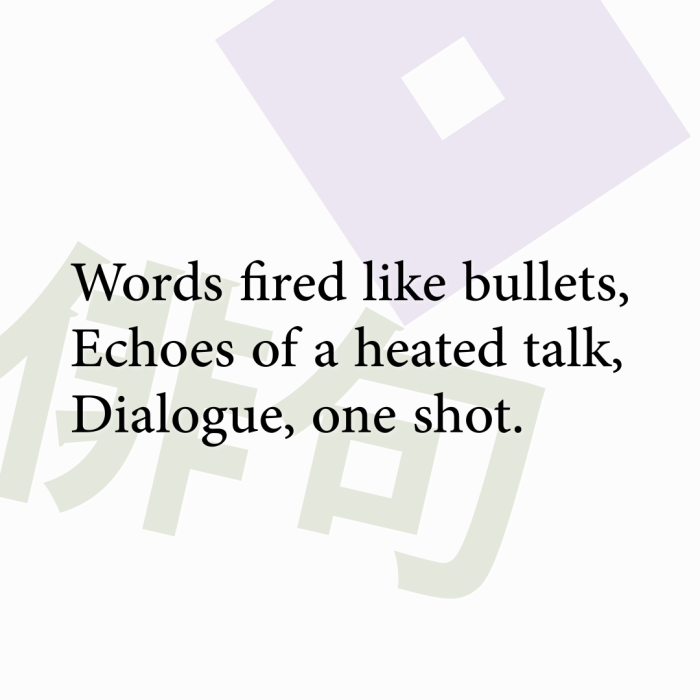 Words fired like bullets, Echoes of a heated talk, Dialogue, one shot.