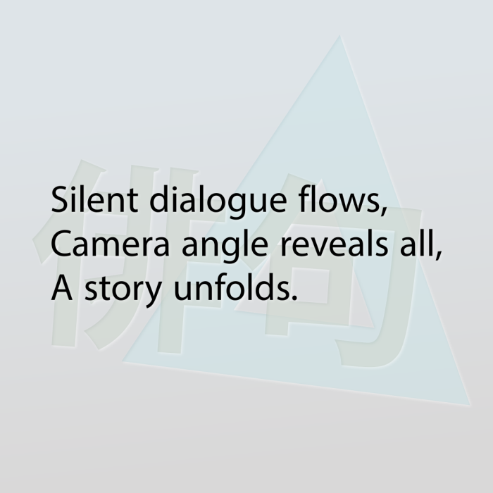 Silent dialogue flows, Camera angle reveals all, A story unfolds.