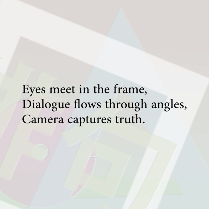 Eyes meet in the frame, Dialogue flows through angles, Camera captures truth.