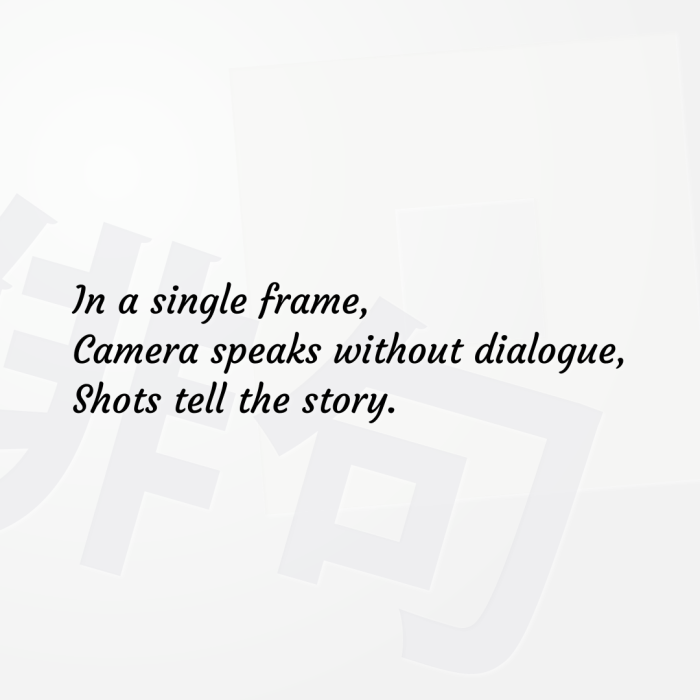 In a single frame, Camera speaks without dialogue, Shots tell the story.