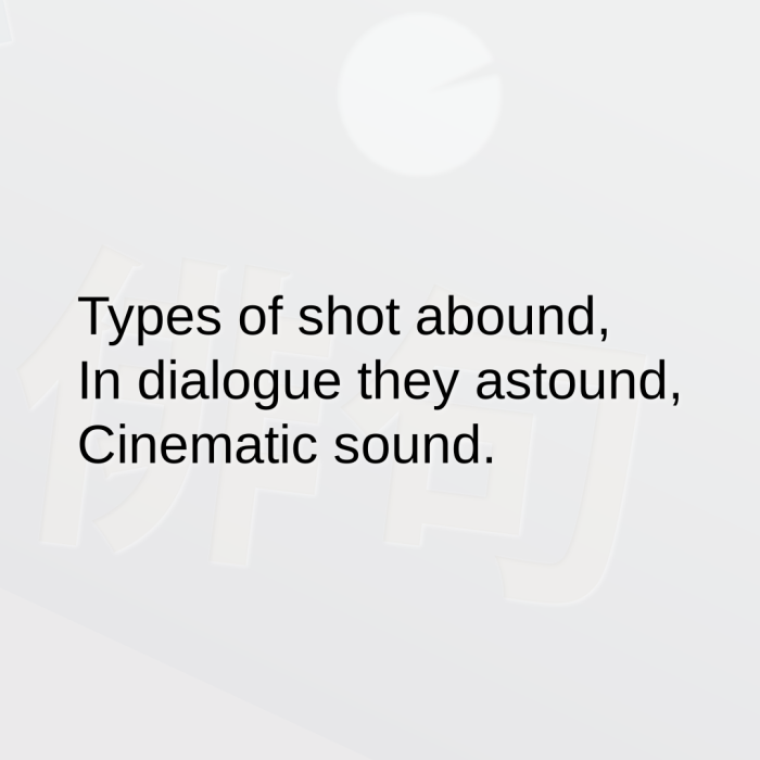 Types of shot abound, In dialogue they astound, Cinematic sound.