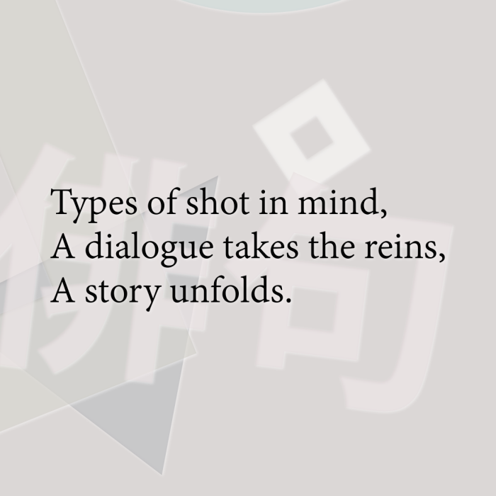 Types of shot in mind, A dialogue takes the reins, A story unfolds.