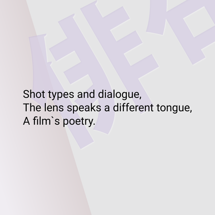 Shot types and dialogue, The lens speaks a different tongue, A film`s poetry.