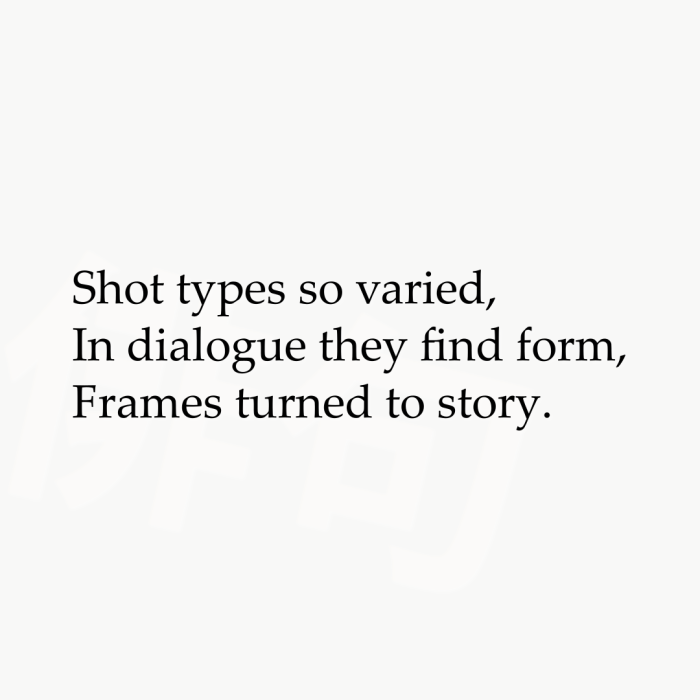 Shot types so varied, In dialogue they find form, Frames turned to story.