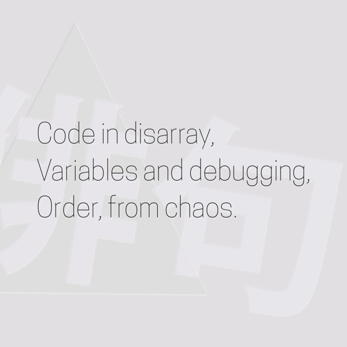 Code in disarray, Variables and debugging, Order, from chaos.