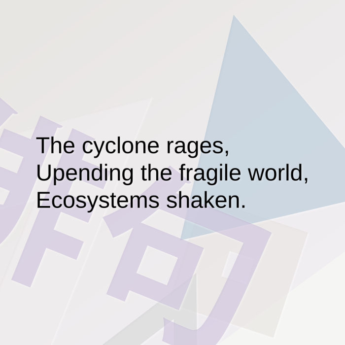 The cyclone rages, Upending the fragile world, Ecosystems shaken.
