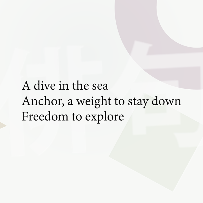 A dive in the sea Anchor, a weight to stay down Freedom to explore