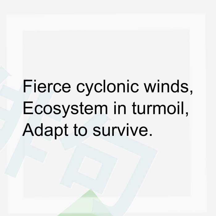 Fierce cyclonic winds, Ecosystem in turmoil, Adapt to survive.