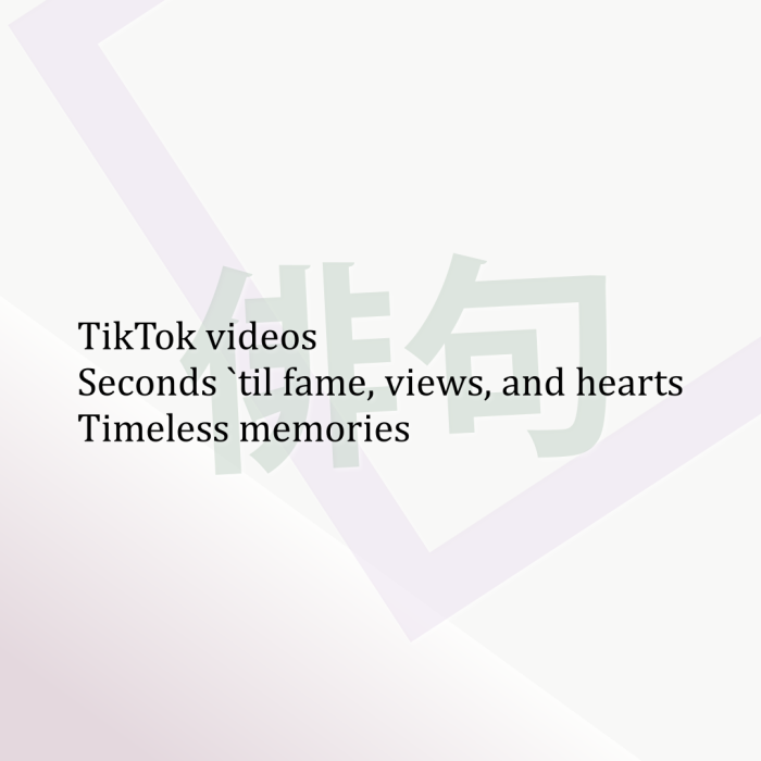 TikTok videos Seconds `til fame, views, and hearts Timeless memories