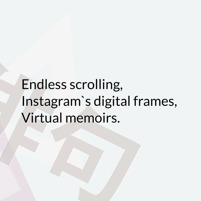 Endless scrolling, Instagram`s digital frames, Virtual memoirs.