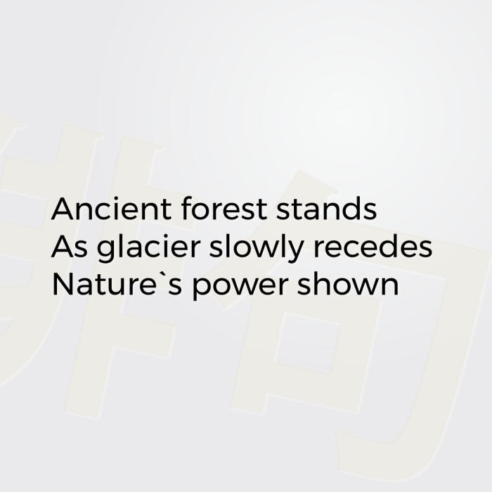 Ancient forest stands As glacier slowly recedes Nature`s power shown