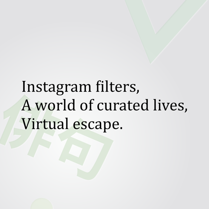 Instagram filters, A world of curated lives, Virtual escape.