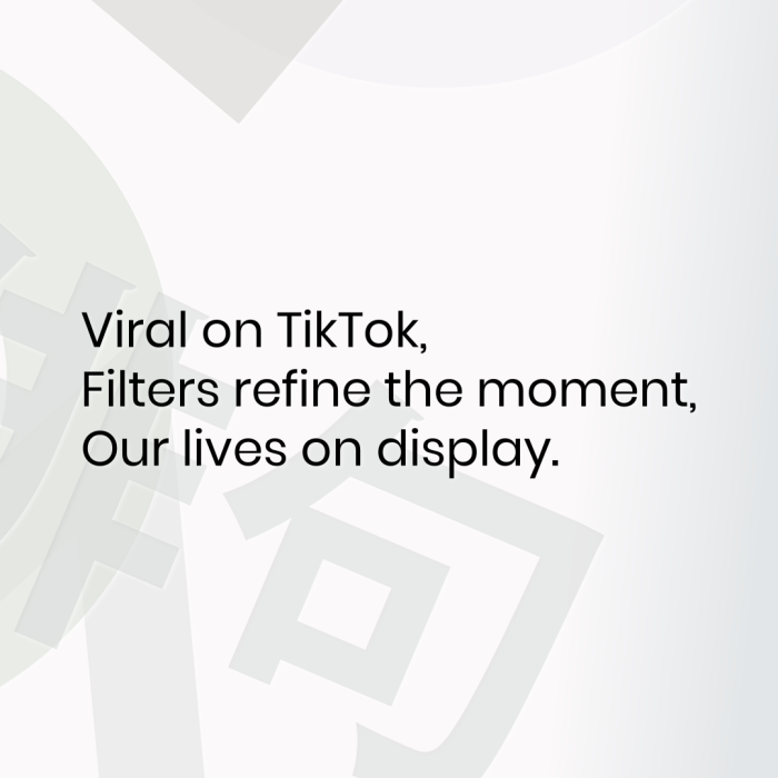 Viral on TikTok, Filters refine the moment, Our lives on display.