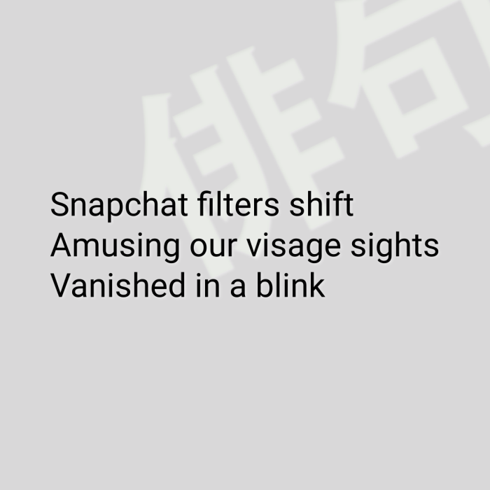 Snapchat filters shift Amusing our visage sights Vanished in a blink