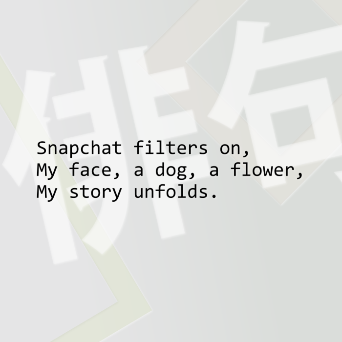 Snapchat filters on, My face, a dog, a flower, My story unfolds.