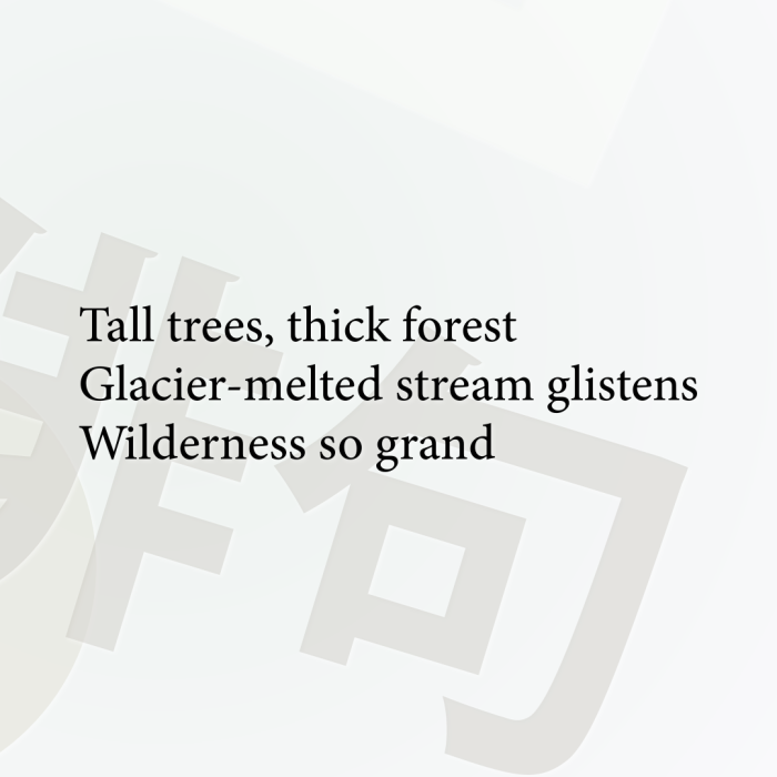 Tall trees, thick forest Glacier-melted stream glistens Wilderness so grand