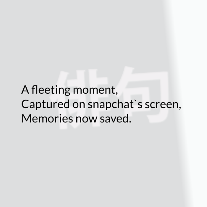 A fleeting moment, Captured on snapchat`s screen, Memories now saved.