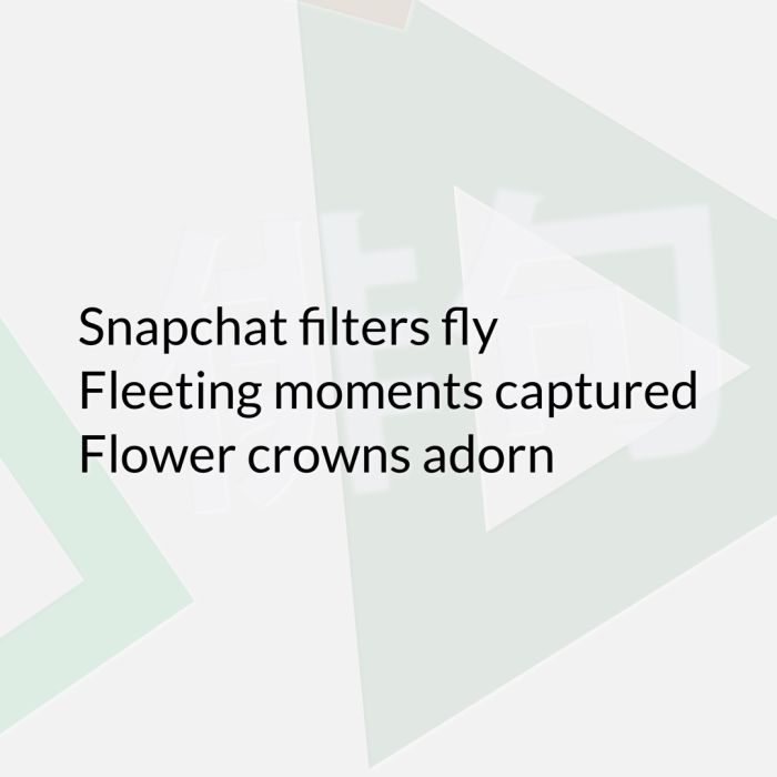 Snapchat filters fly Fleeting moments captured Flower crowns adorn