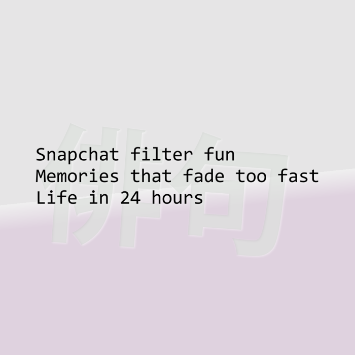 Snapchat filter fun Memories that fade too fast Life in 24 hours