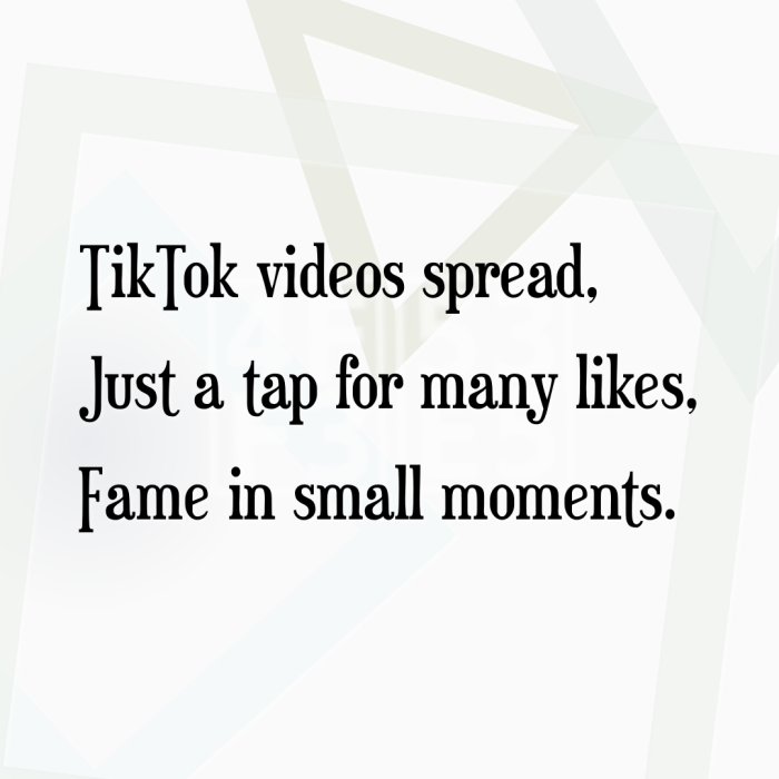 TikTok videos spread, Just a tap for many likes, Fame in small moments.