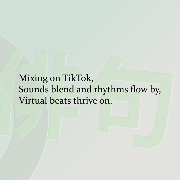 Mixing on TikTok, Sounds blend and rhythms flow by, Virtual beats thrive on.