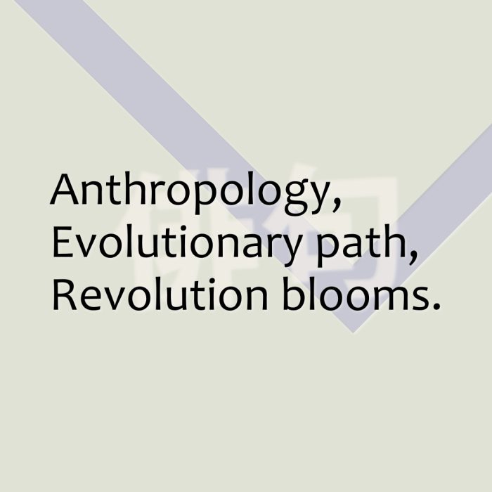 Anthropology, Evolutionary path, Revolution blooms.