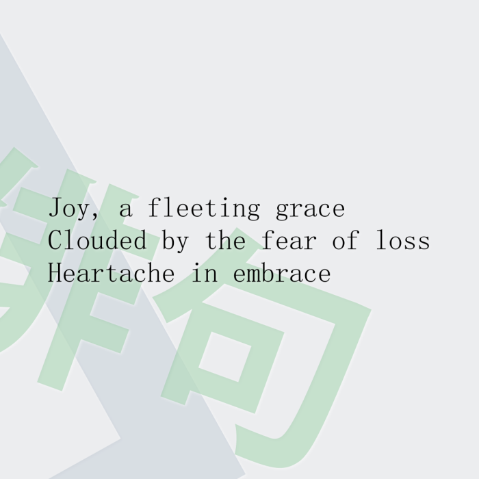 Joy, a fleeting grace Clouded by the fear of loss Heartache in embrace