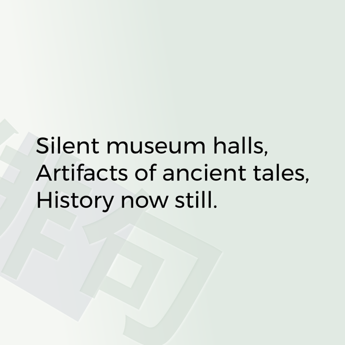 Silent museum halls, Artifacts of ancient tales, History now still.
