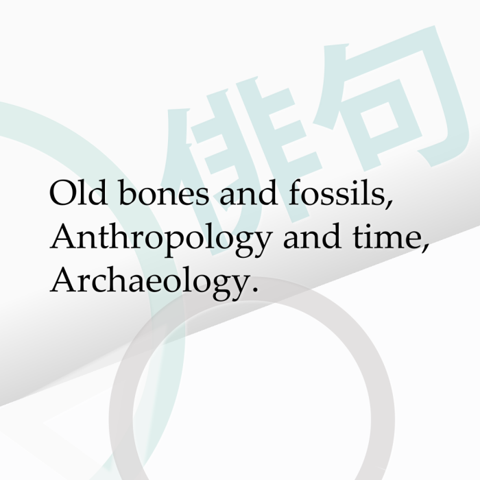 Old bones and fossils, Anthropology and time, Archaeology.