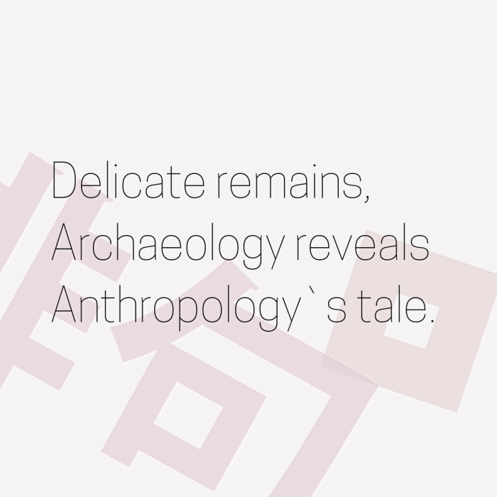 Delicate remains, Archaeology reveals Anthropology`s tale.