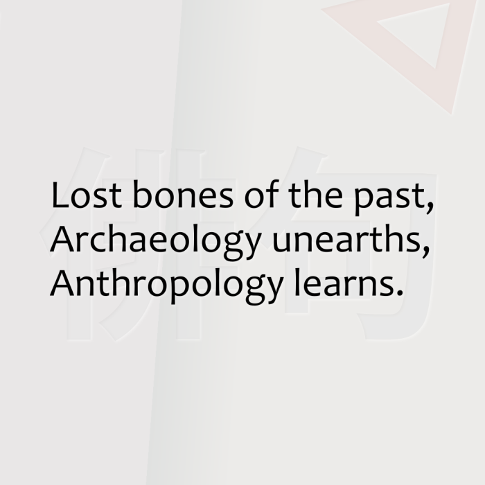Lost bones of the past, Archaeology unearths, Anthropology learns.