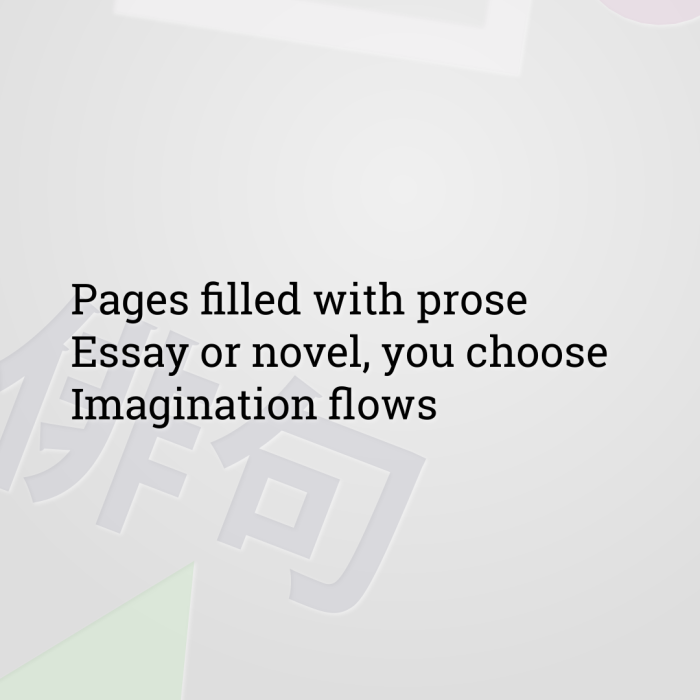 Pages filled with prose Essay or novel, you choose Imagination flows