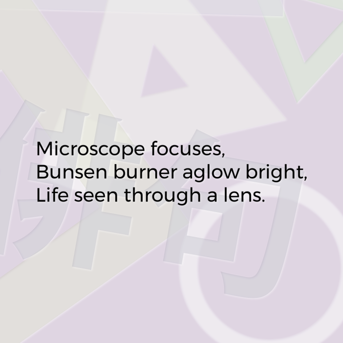 Microscope focuses, Bunsen burner aglow bright, Life seen through a lens.