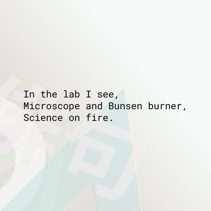 In the lab I see, Microscope and Bunsen burner, Science on fire.