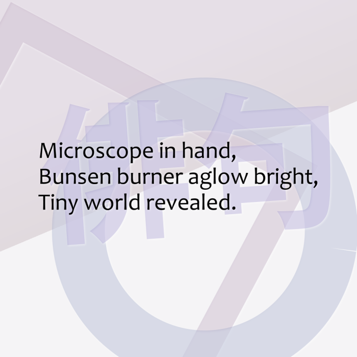 Microscope in hand, Bunsen burner aglow bright, Tiny world revealed.