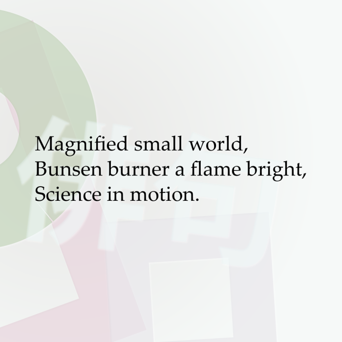 Magnified small world, Bunsen burner a flame bright, Science in motion.