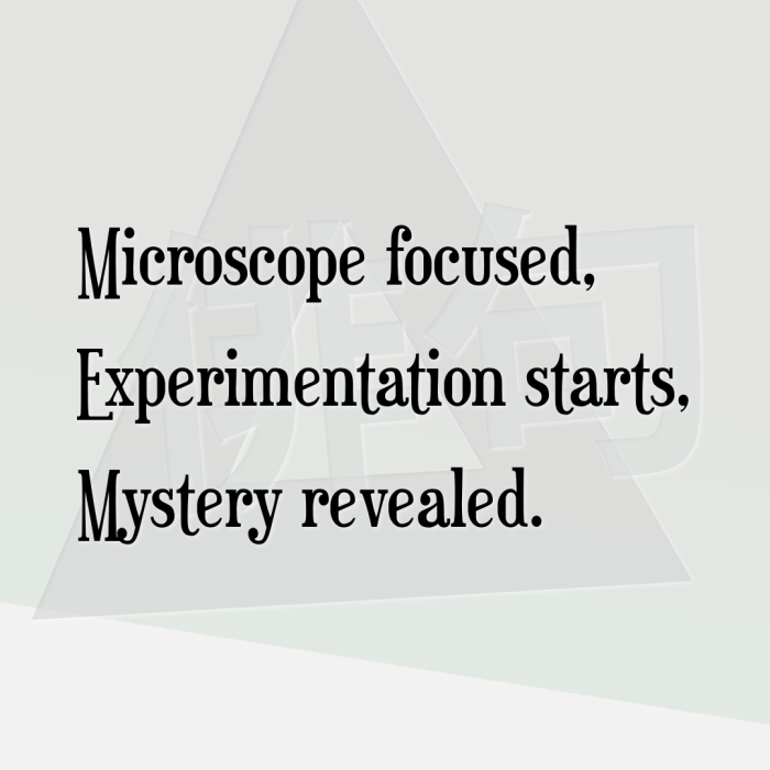 Microscope focused, Experimentation starts, Mystery revealed.