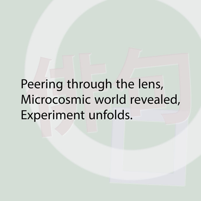 Peering through the lens, Microcosmic world revealed, Experiment unfolds.