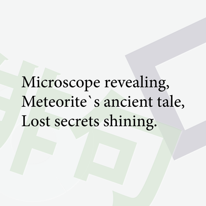 Microscope revealing, Meteorite`s ancient tale, Lost secrets shining.