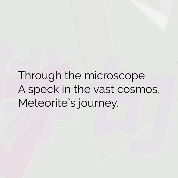 Through the microscope A speck in the vast cosmos, Meteorite`s journey.