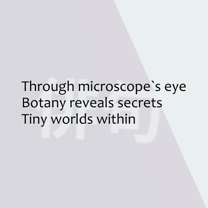 Through microscope`s eye Botany reveals secrets Tiny worlds within