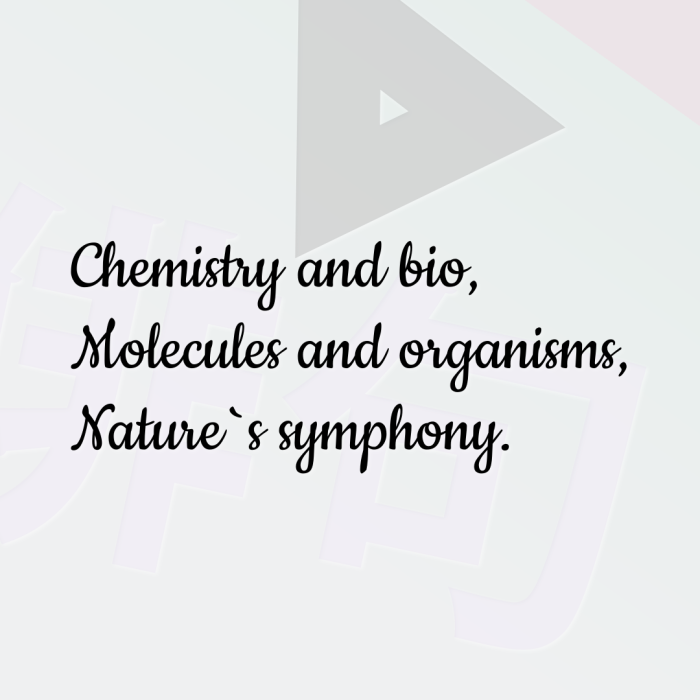 Chemistry and bio, Molecules and organisms, Nature`s symphony.