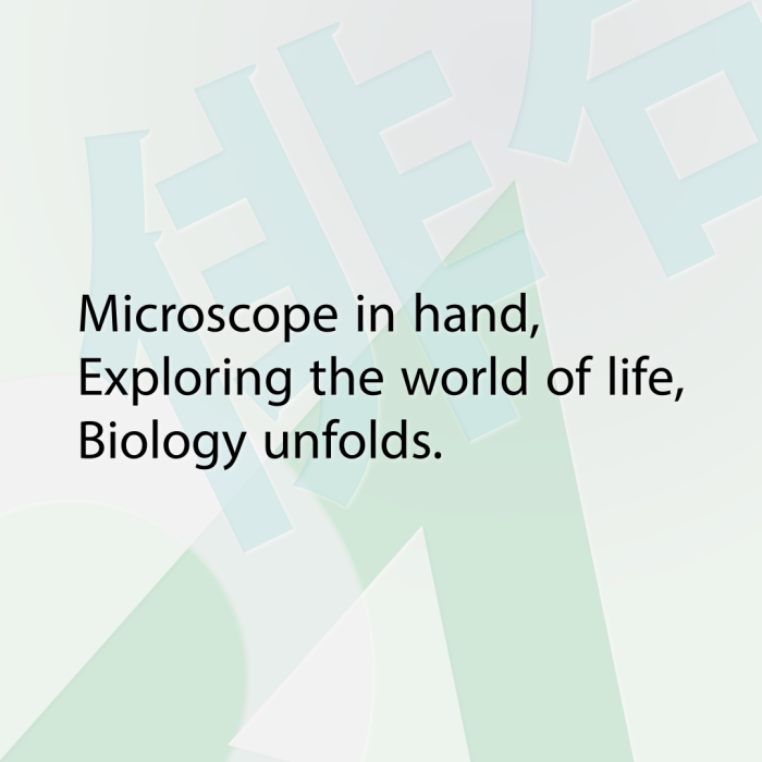 Microscope in hand, Exploring the world of life, Biology unfolds.