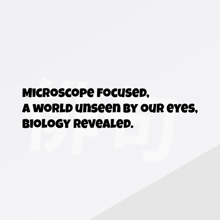 Microscope focused, A world unseen by our eyes, Biology revealed.