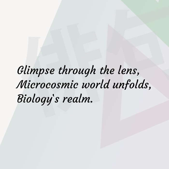 Glimpse through the lens, Microcosmic world unfolds, Biology`s realm.