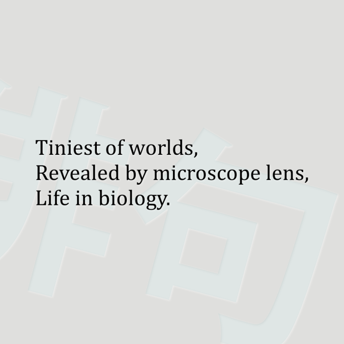 Tiniest of worlds, Revealed by microscope lens, Life in biology.