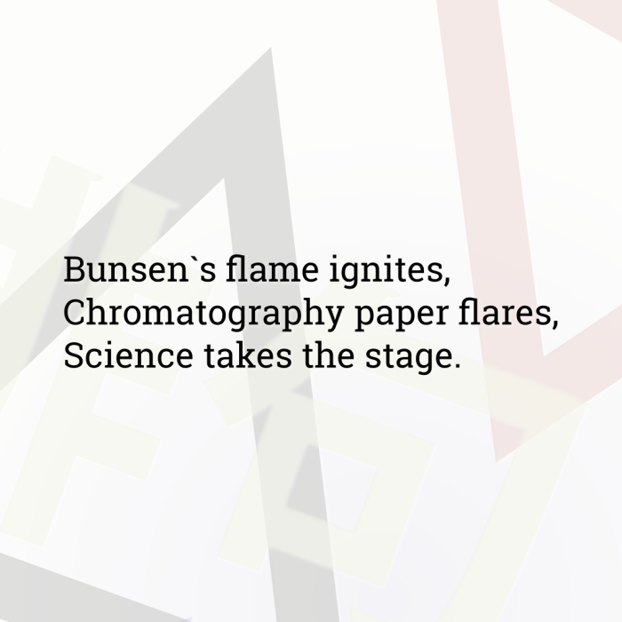 Bunsen`s flame ignites, Chromatography paper flares, Science takes the stage.